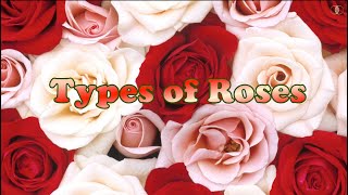 TYPES OF ROSES | 58 Roses | Classification of Roses | ROSES | TYPES | COMPARE