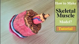 How to make Skeletal Muscle Model