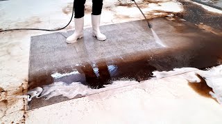 Hiss-terically, All of The Dirt Was Hiding a Snakeskin 🐍 Rug! | restoration | satisfying video