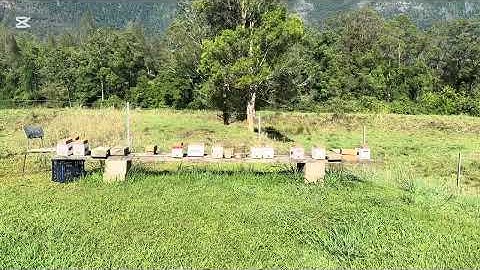 Mini mating nucs with 10 day old queen cells