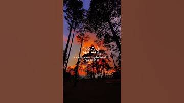 {لَا يُكَلِّفُ اللَّهُ نَفْسًا إِلَّا مَا آتَاهَا} القارئ رعد الكردي ليطمئن🎧❤️...