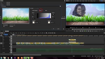 36 KEYERS LUMINANCEKEY || Wedding Film Maker || Edius Classes