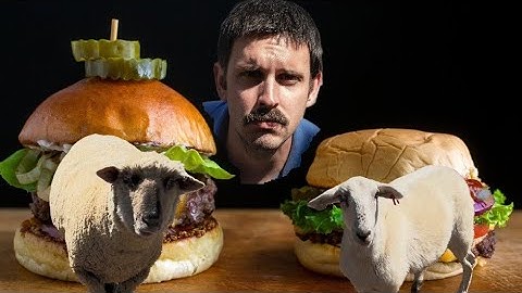 Best Tasting Lamb? Hair vs. Wool?