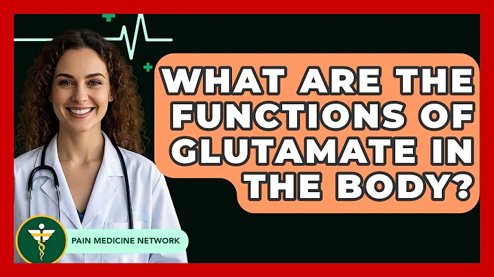 What Are The Functions Of Glutamate In The Body? - Pain Medicine Network