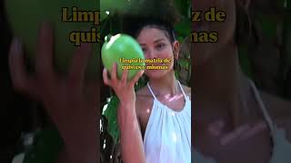 Lo Llaman Totumo O Güira Es Un Remedio Ancestral