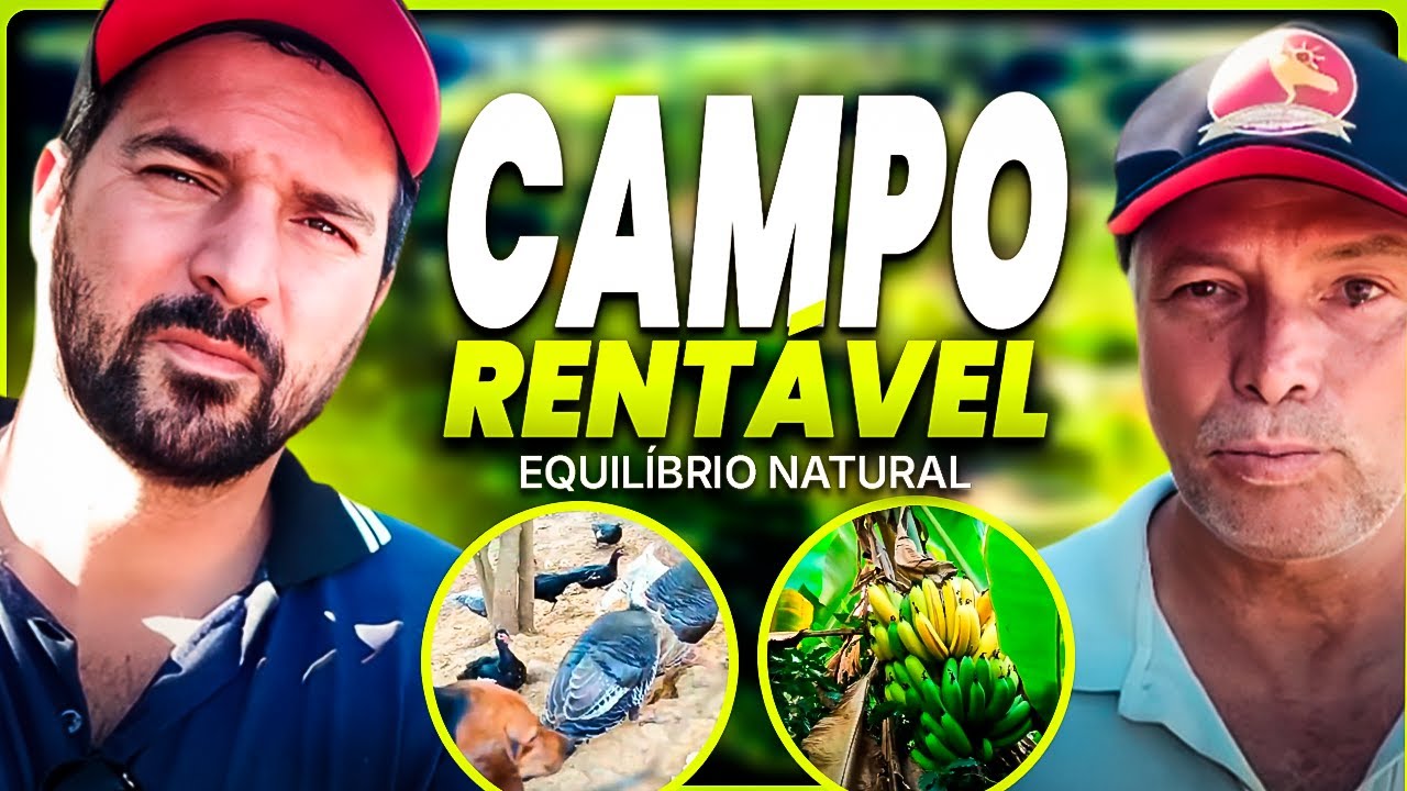 🤑 PEQUENO PRODUTOR rural CRIA mais de 1.500 GALINHAS sem ração. Economia e Sustentabilidade 🤑 PEQUENO PRODUTOR rural CRIA mais de 1.500 GALINHAS sem ração. Economia e Sustentabilidade