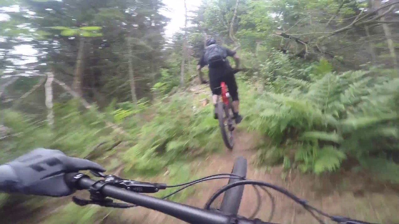 RULLEFALD//SNOTRAKETTER//LØSE SVING I TORNBY JULI 2018