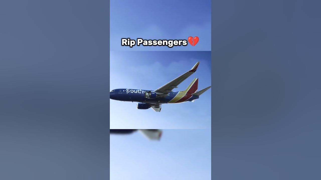 They saved the whole Plane🗿 PT7 #aviation #aeroplane