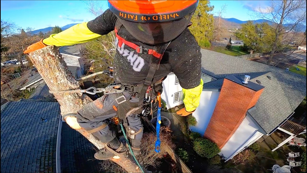 Wrecking Tree Over Home (EXPLAINED) - YouTube