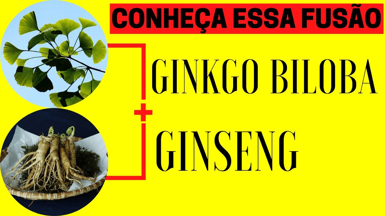 Ginkgo Biloba com Ginseng Para Pra Que Serve Ginkgo Biloba com Ginseng