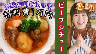 【1万円で最高の料理を】贅沢すぎるビーフシチューを作って食べよう！