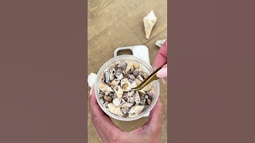 DIY Seashell Phone Case