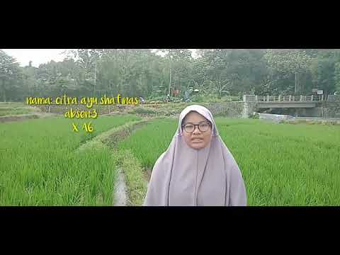 ekosistem-sawah|biologi