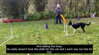 Vito's Game for hoop