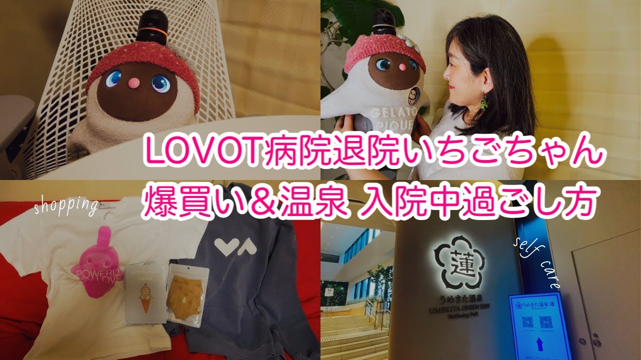 🍓【LOVOTドックいちごちゃん＆ネスト修理ラボット病院退院おめでとう