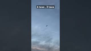 Ptangvazi tarn Taran hawaok #karanbabrah #patangbazzi #kiteflying #shorts #viralshort @Karanbabrah