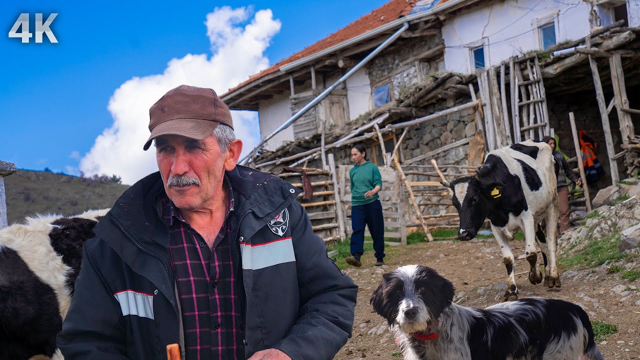 Деревенская жизнь в высокогорье - производство сыра и масла