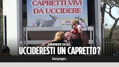 Quanto costa un cucciolo di capretto?