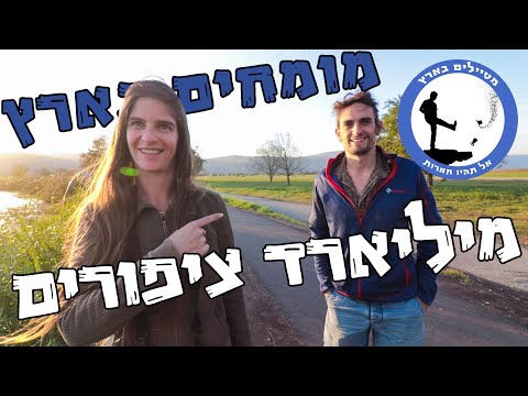 וִידֵאוֹ: מוחן של ציפורים ותכונותיו