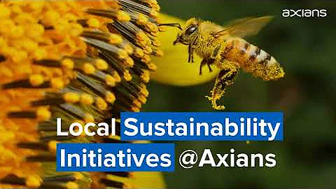 Axians Bee Hives for sustainable goods