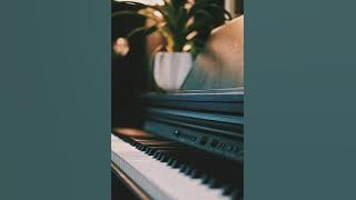 Danilo Stankovic - Pieces [10 Hours]