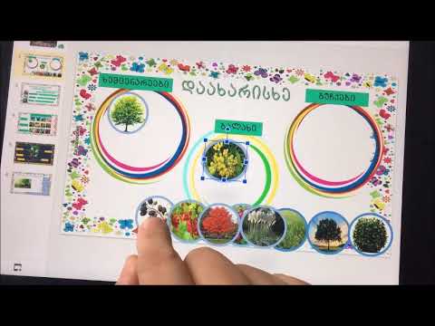 საინტერესო და სახალისო  ელენესგან