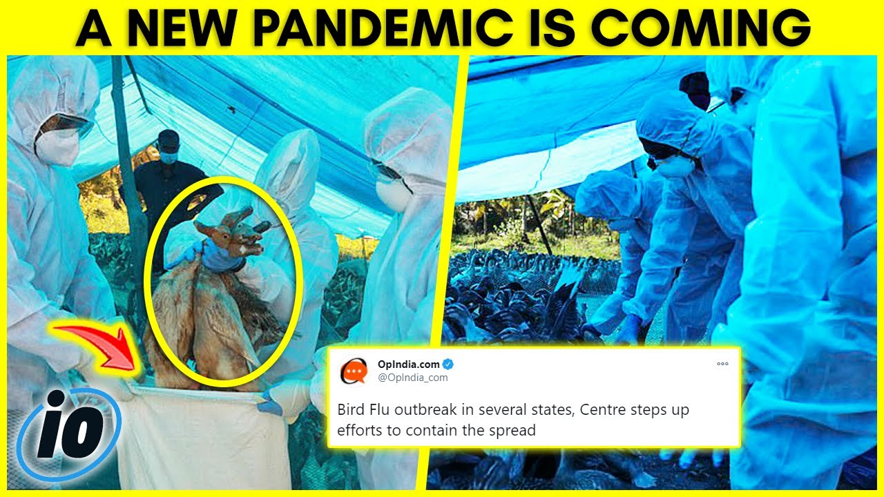 A New Pandemic Is Coming