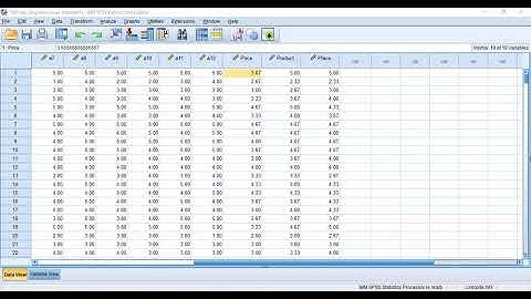 Research 101 EP2: Computing Composite Variables in SPSS