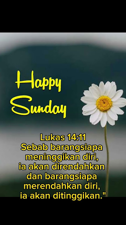 Selamat Hari Minggu, Tuhan Yesus Memberkati 😇