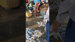 How To Make A Fish Sailing In Mumbai