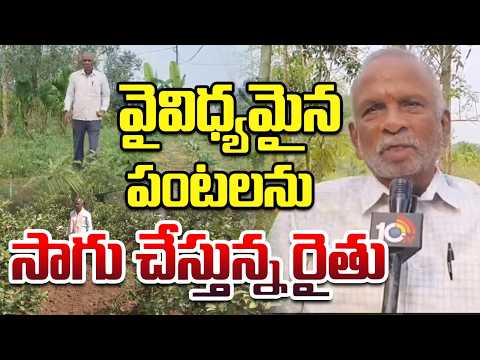 వైవిధ్యమైన పంటలను సాగు చేస్తున్న రైతు | Farmer Inspirational Story In Agriculture | Matti Manishi | - 10TVNEWSTELUGU