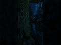 Think you saw everything in RDR2? see this… #viral #shartviral #reddeadredemption2 #gamelife