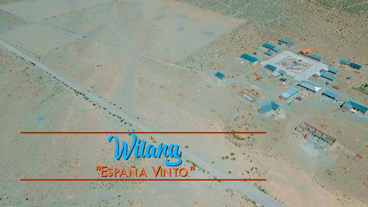 WILANY  ESPAÑA VINTO