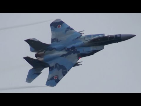 【特価！】技MIX AC29 F-15DJ 新田原基地　アグレッサー065号機 技MIX 航空自衛隊 F-15DJ イーグル 飛行教導隊 (新田原基地
