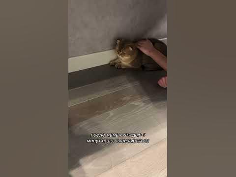 Подстава🙀 - YouTube