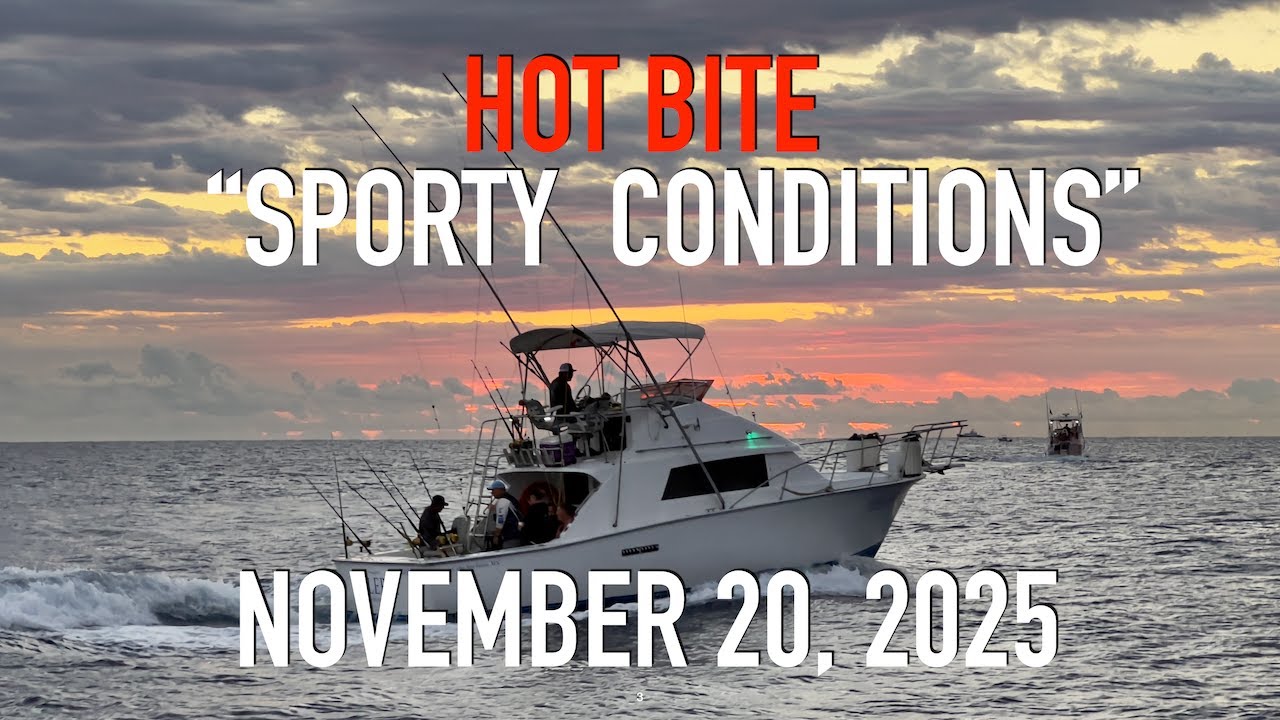 Striped Marlin Hot Bite in rough water Cabo late November 2025