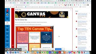 Canvas | Parent Observer | Accessing Announcements in Canvas