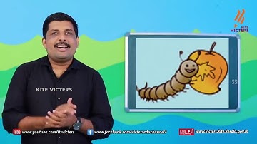 KITE VICTERS STD 1 Mathematics Class 18 First Bell ഫസ്റ്റ് ബെല്