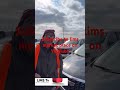 More new cars
