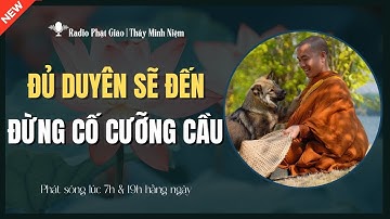 Pháp Thoại Hằng Ngày - Đủ DUYÊN Sẽ Đến, Đừng CHẤP Đừng CƯỠNG CẦU (Đúng Từng Chữ) | Thầy Minh Niệm