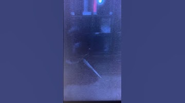 AC Unity bug - stuck in the building🐞🐞🐞