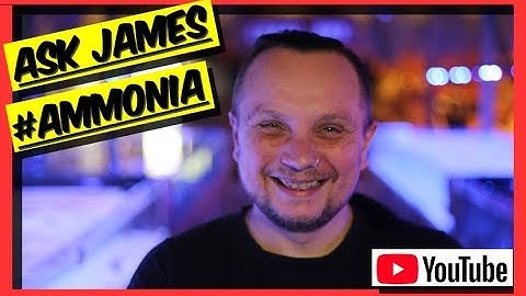 AMMONIA In The Reef Aquarium? Ask James