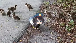 Subaru duck police officer | Animal hololive