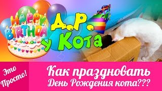 День Рождения У КОТА! Идеи Для Дня Рождения. Приколы с кошками | Это Просто | Лана Мейнарт(Группа Вконтакте: https://new.vk.com/lana.meinart Если вы любите приколы с кошками, то это видео вам точно понравится...., 2016-07-29T10:00:01.000Z)