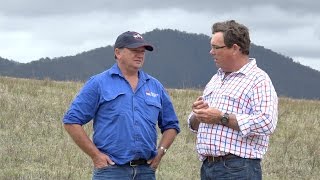 Rotational grazing to improve pastures