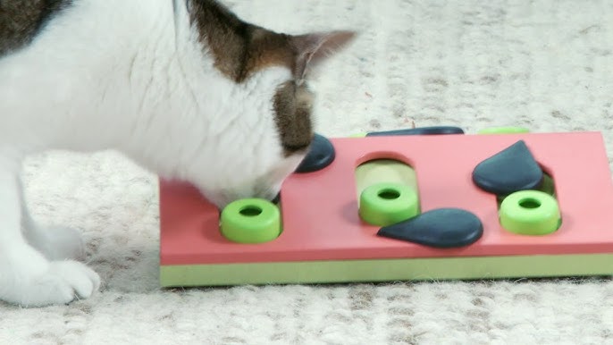 TACKDG Cat Toy Indoor for Cats Interactive Best Kitten Puzzle Toys