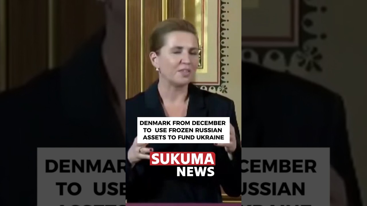 Denmark from December to use frozen Russian assets to fund Ukraine