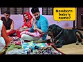 Newborn baby need a good name | Rottweiler dog | snappy girls