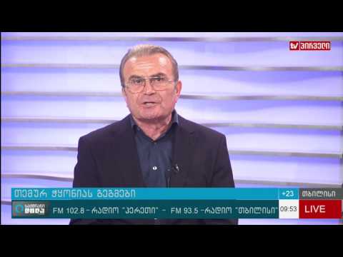 თემურ ჭყონია 94 ე მუხლზე