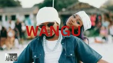 [FREE] Bongo Flava x Afrobeat Instrumental 2025"WANGU"